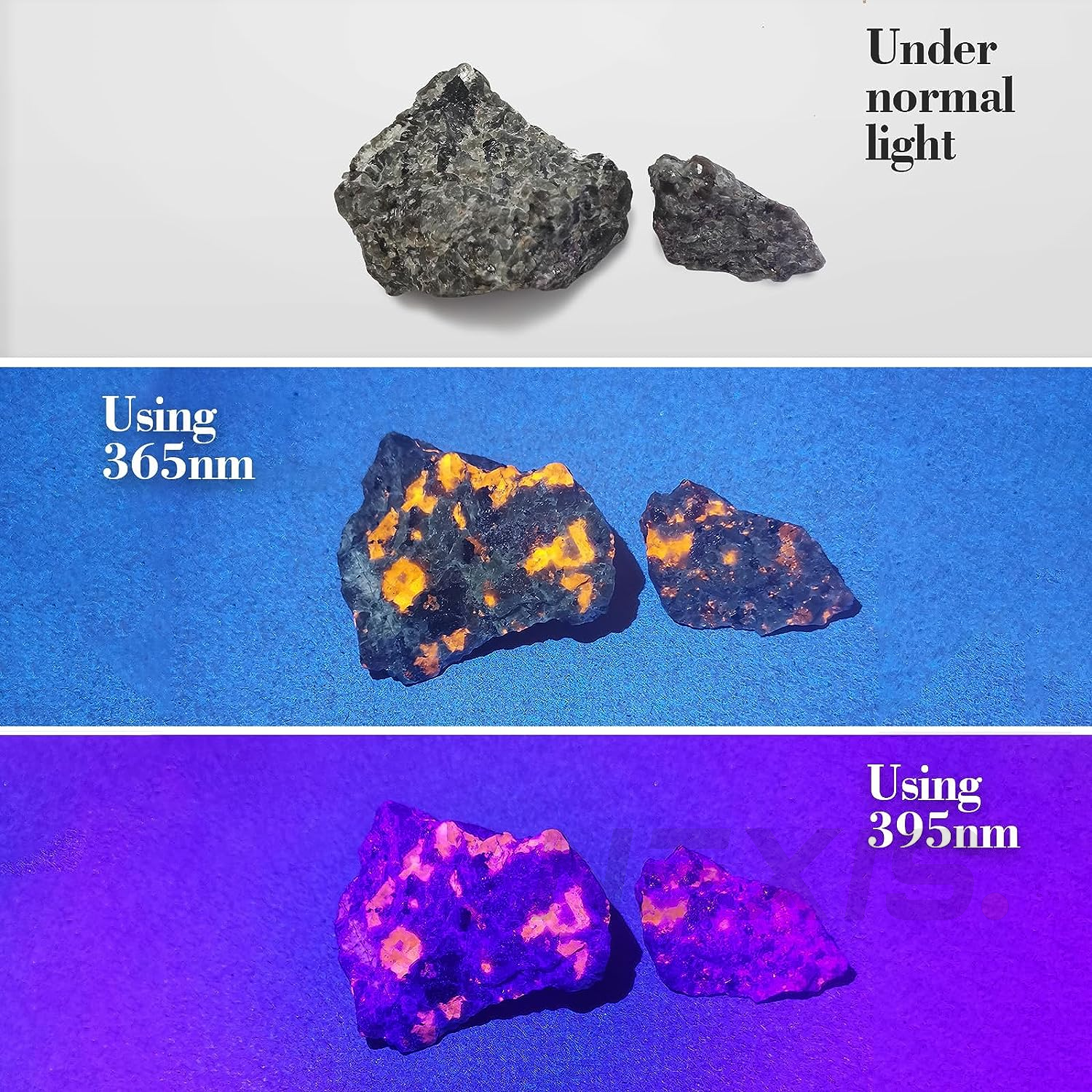 UV Ultra Violet LED Flashlight Blacklight Light 365 395 nM Inspection Lamp Torch