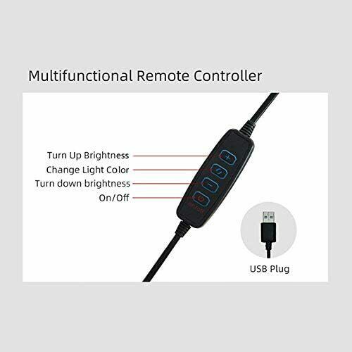 6" 10" LED Ring Light+Tripod Stand Lighting Kit Youtube Phone Makeup Selfie