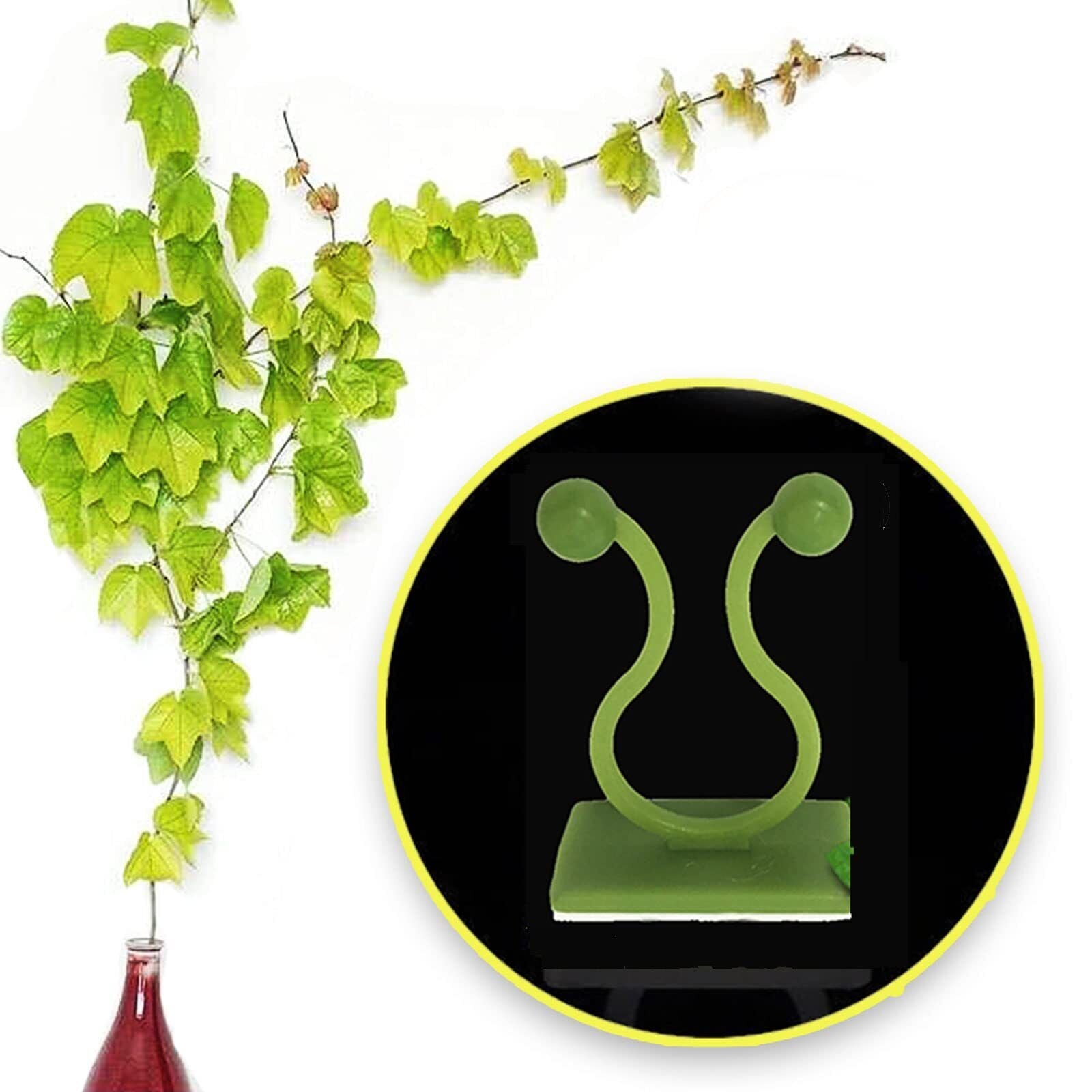 Invisible Plant Fixture Clip Climbing Wall Self Adhesive Tied Vine Buckle Hook