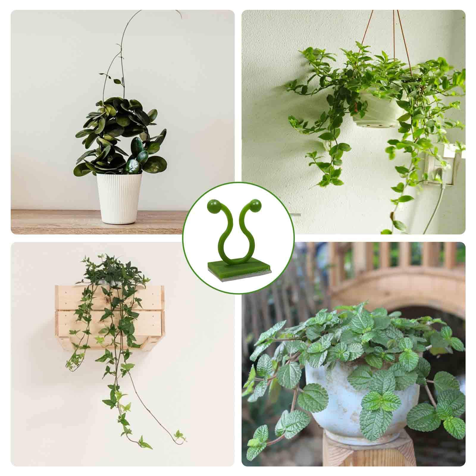 Invisible Plant Fixture Clip Climbing Wall Self Adhesive Tied Vine Buckle Hook